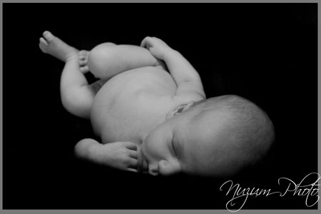 Des Moines Newborn Photographer