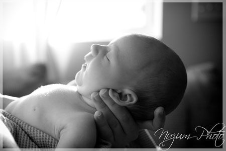 Des Moines Newborn Photographer