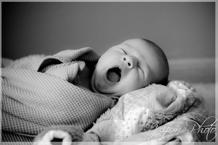 Des Moines Newborn Photographer