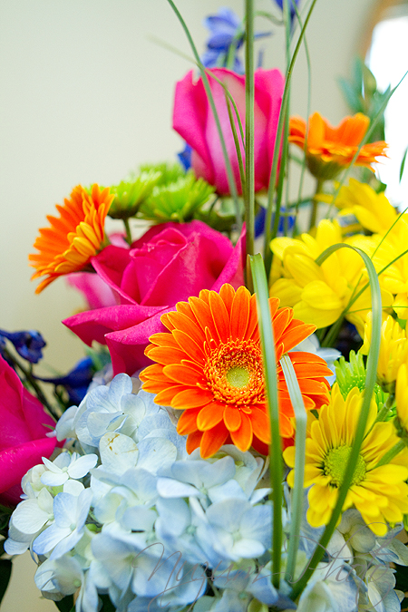 Des Moines Iowa Midwest Wedding Photographer