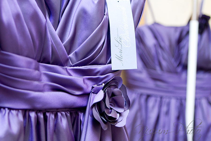 Des Moines, Iowa, Ames, Midwest, Wedding Photographer