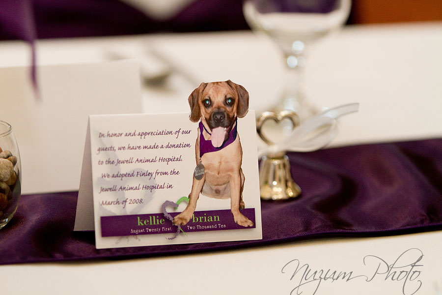 Des Moines, Iowa, Ames, Midwest, Wedding Photographer