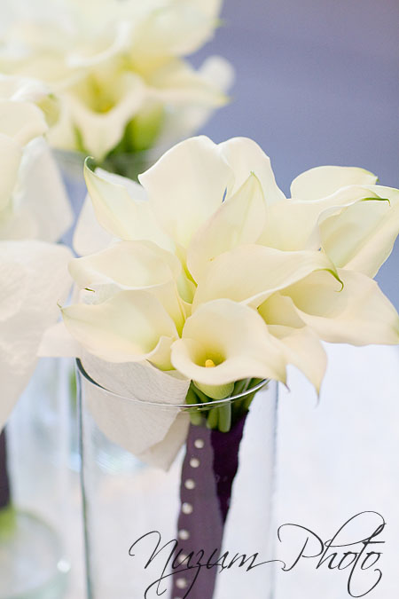 Des Moines Iowa Midwest Wedding Photographer