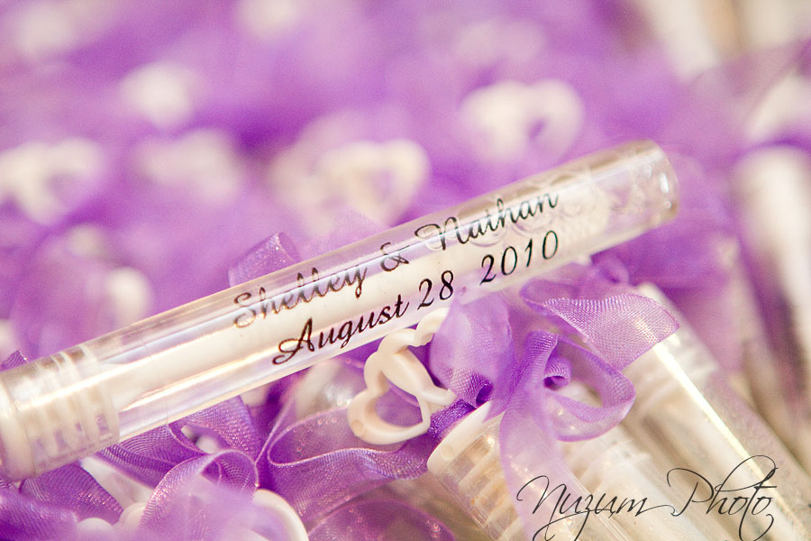 Des Moines Iowa Midwest Wedding Photographer