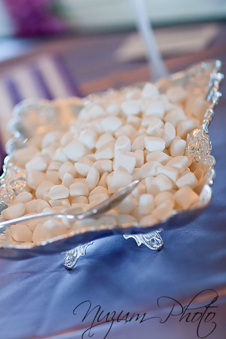Des Moines Iowa Midwest Wedding Photographer