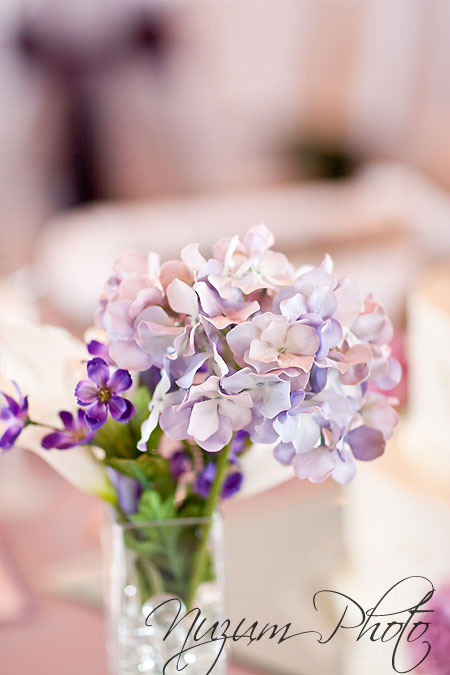 Des Moines Iowa Midwest Wedding Photographer
