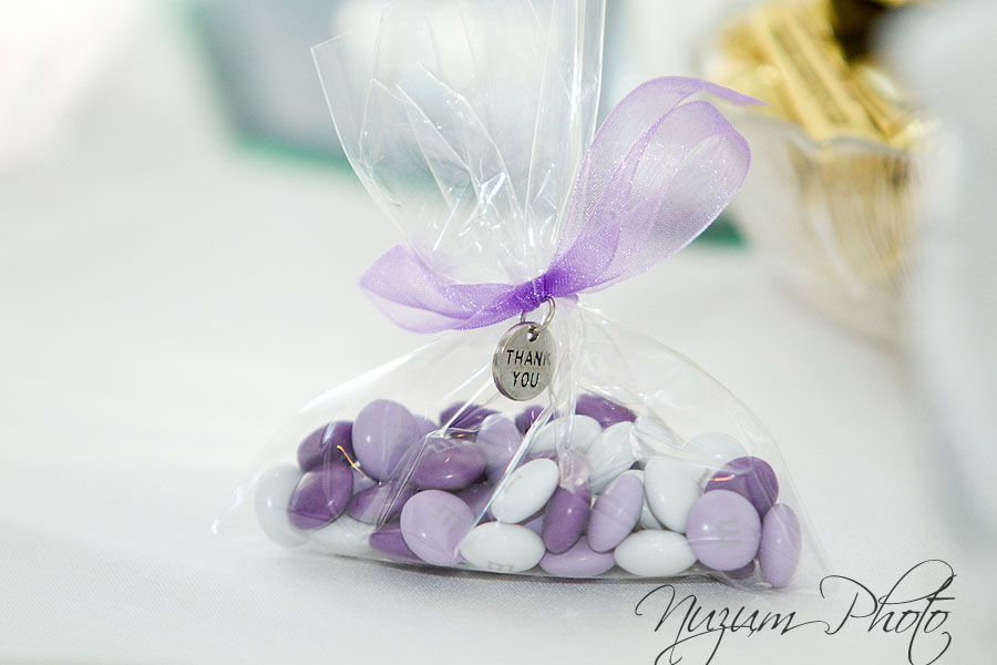 Des Moines Iowa Midwest Wedding Photographer