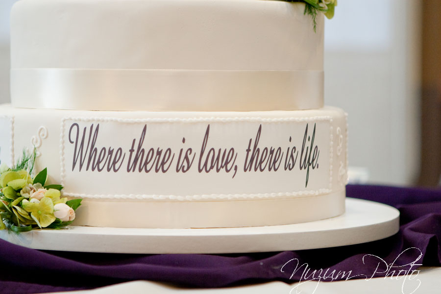 Des Moines Iowa Midwest Wedding Photographer
