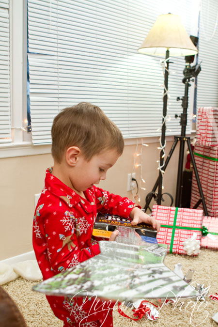 Nuzum Photo Lighting Christmas