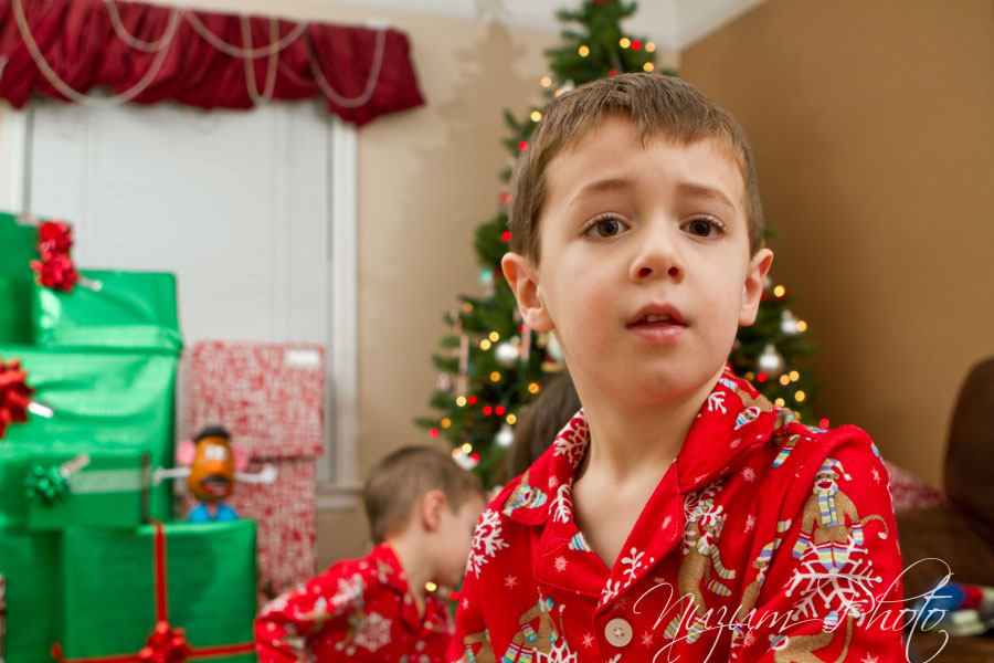 Nuzum Photo Lighting Christmas
