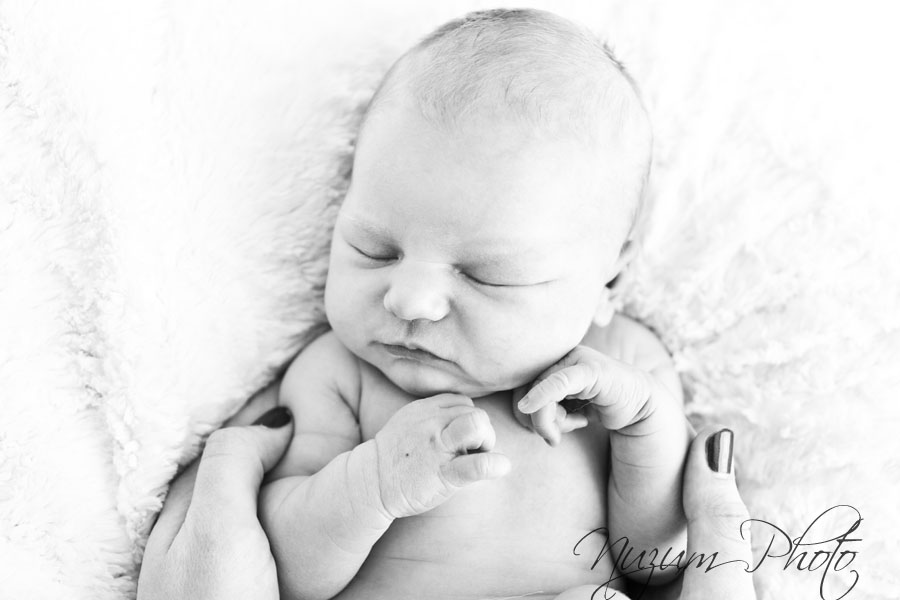Des Moines Iowa Newborn Photographer