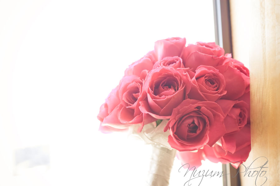 Des Moines Iowa Midwest Wedding Photographer
