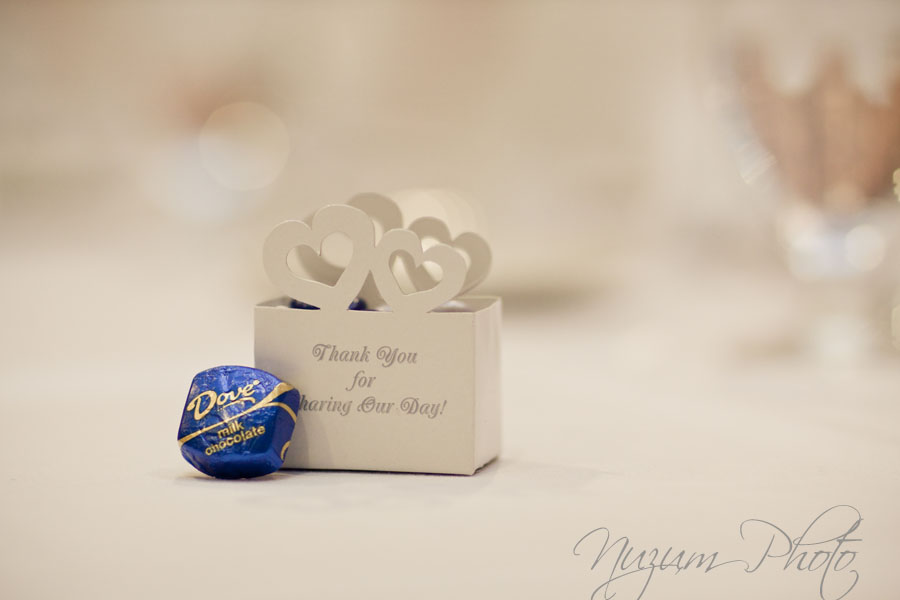 Des Moines Iowa Midwest Wedding Photographer