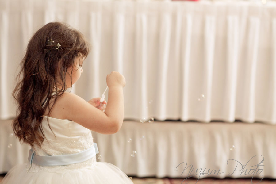 Des Moines Iowa Midwest Wedding Photographer