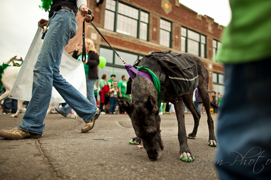 Des Moines Iowa St. Patrick's Day Parade 2011