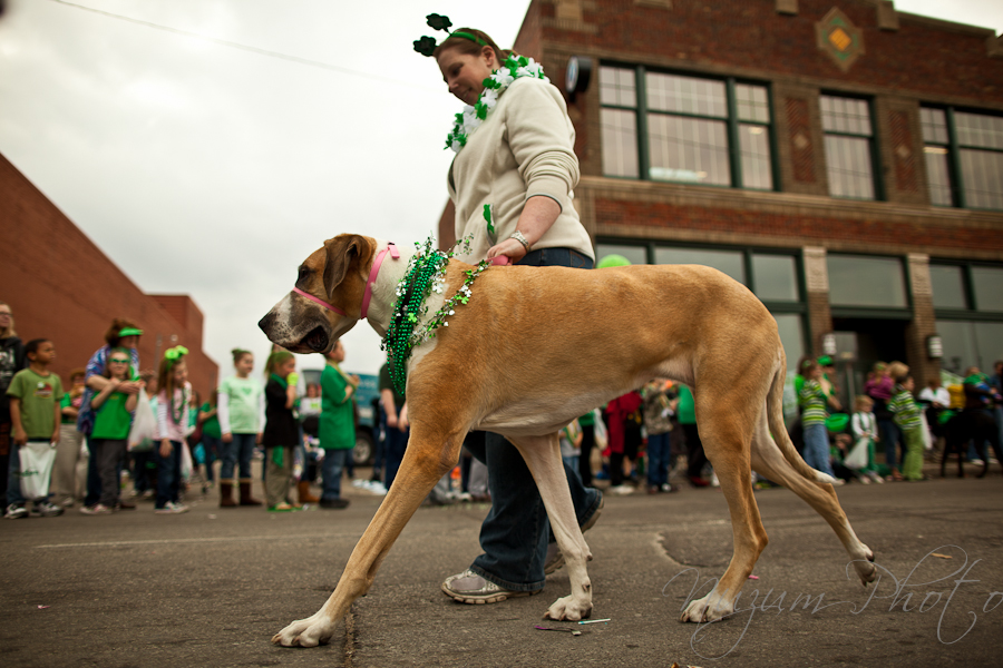 Des Moines Iowa St. Patrick's Day Parade 2011
